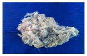 High Quality Cotton Waste PTC-Sethi Trading Company